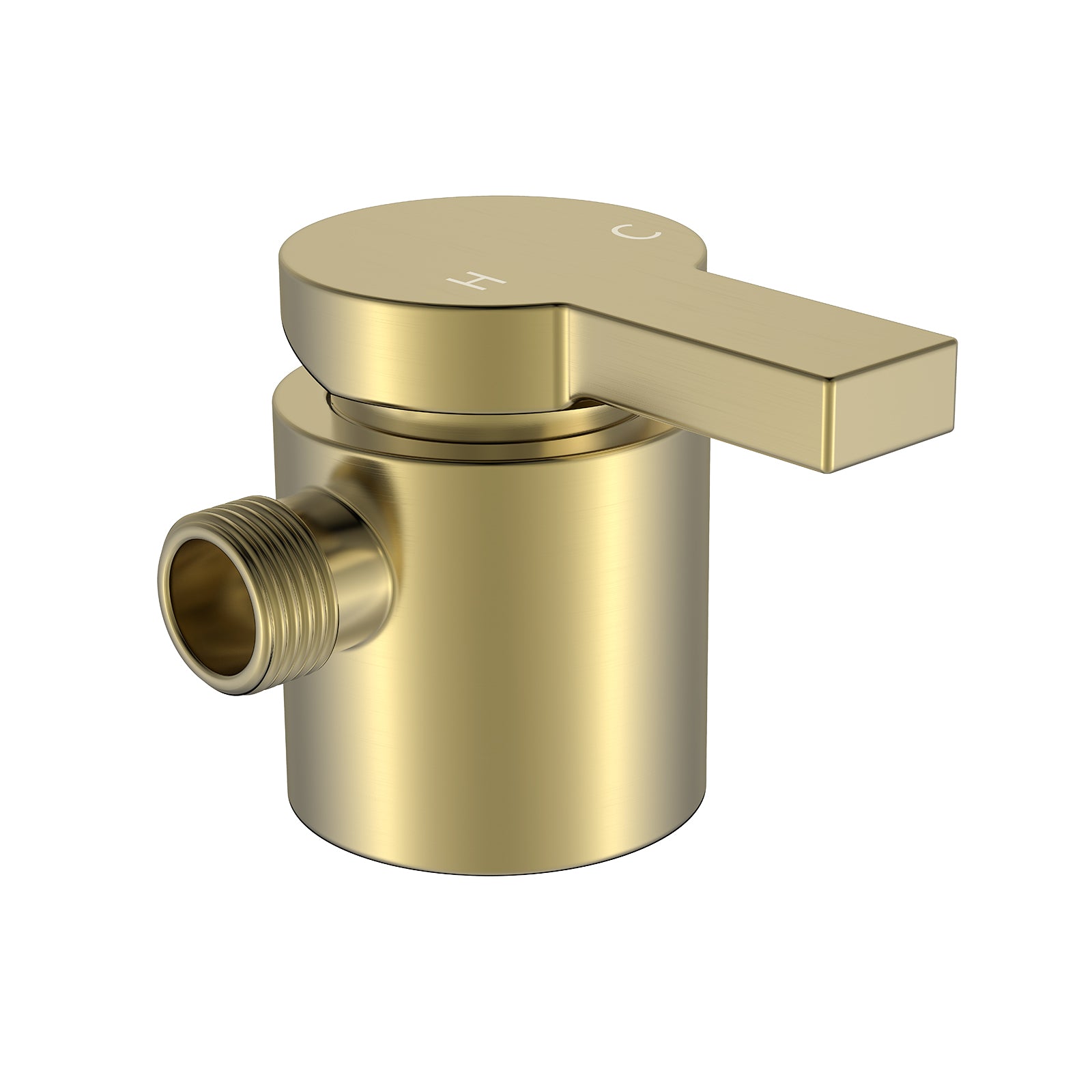 External Shower - Brushed Gold